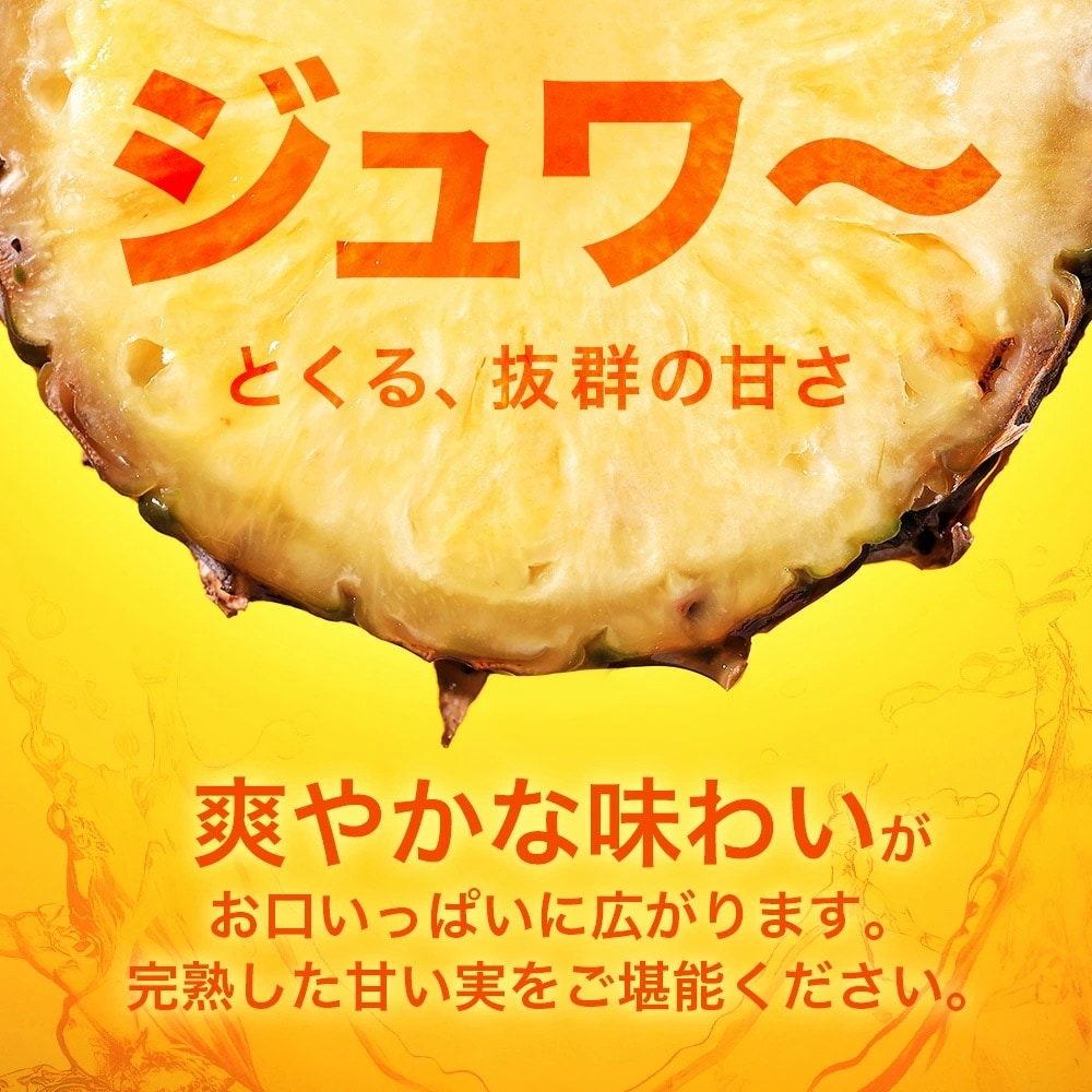【先行受付】パールパイン1kg(1～2玉)お勧め♪川平パイン《2025年7月～8月頃順次発送》