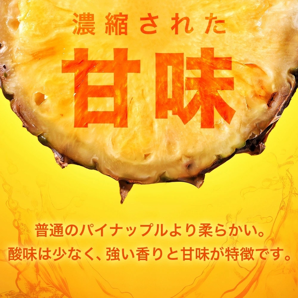 【先行受付】ポコットパイン1kg(1～2玉)お勧め♪川平パイン《2025年5月～10月頃順次発送》