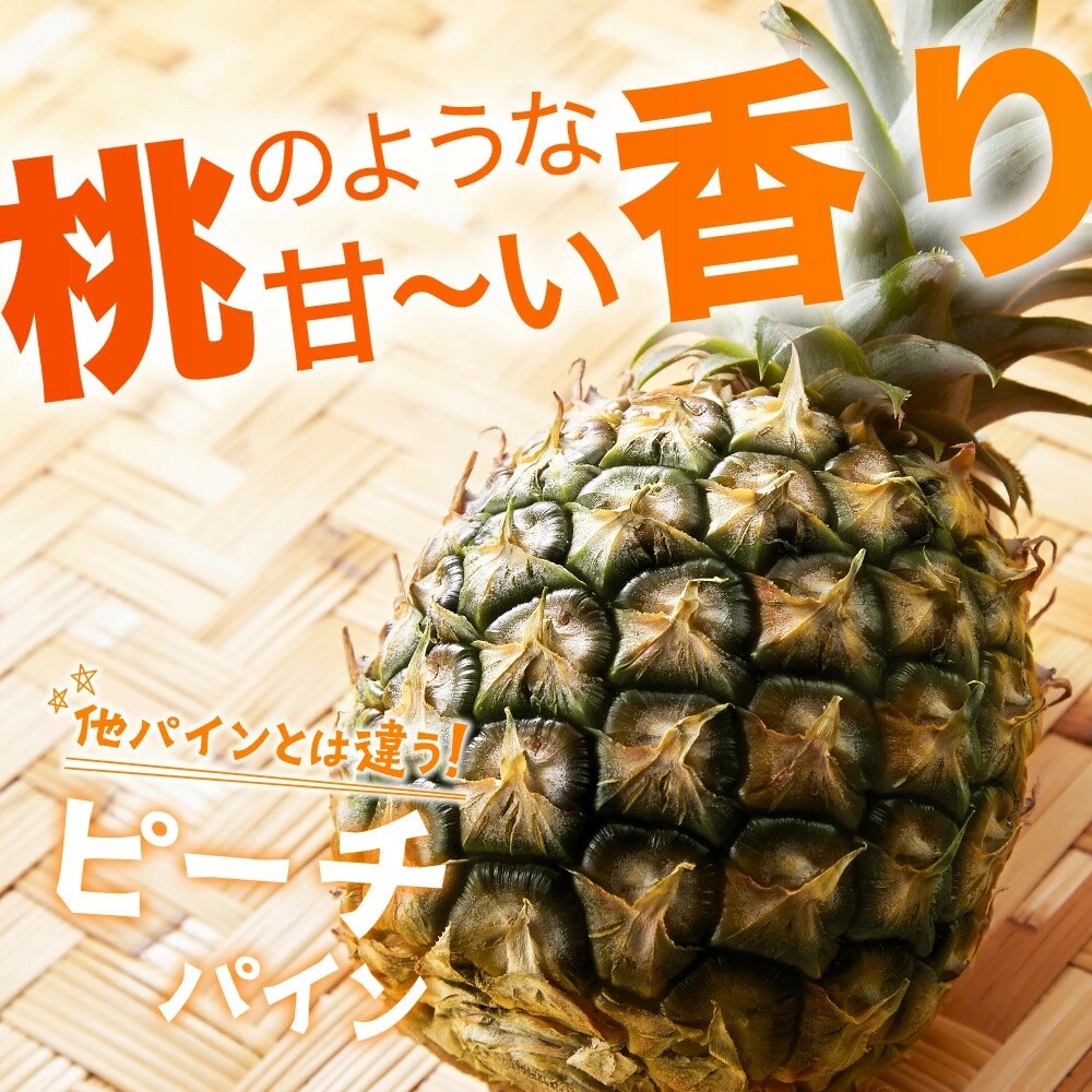 【先行受付】ピーチパイン1kg(1～2玉)お勧め♪川平パイン《2026年5月～11月頃順次発送》