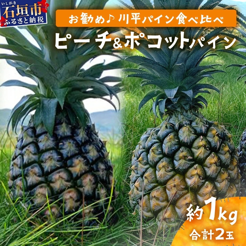 【先行受付】ピーチ&ポコットパイン食べ比べ 1kg(計2玉)《2025年5月～10月頃順次発送》