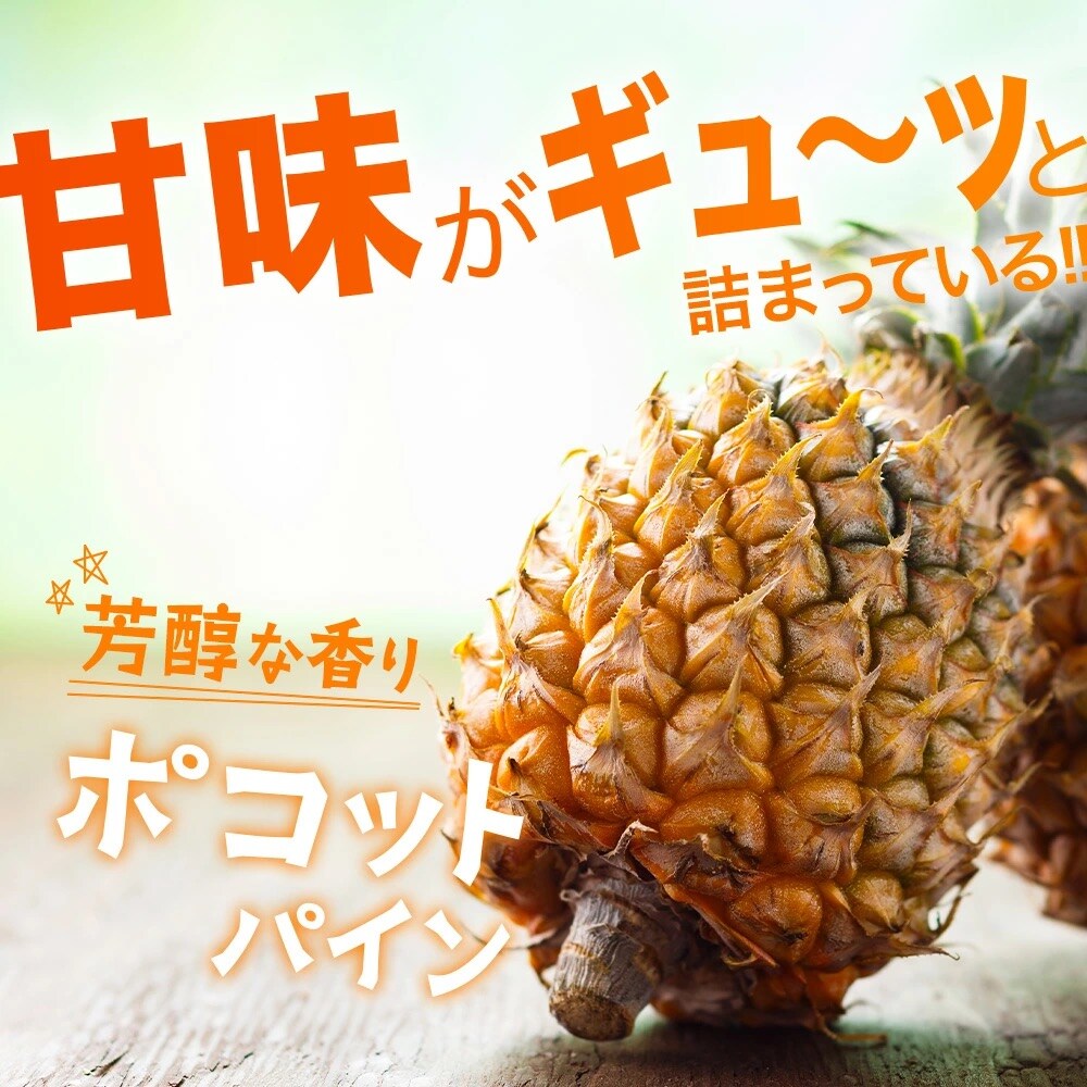 【先行受付】ピーチ&ポコットパイン食べ比べ 1kg(計2玉)《2026年5月～10月頃順次発送》
