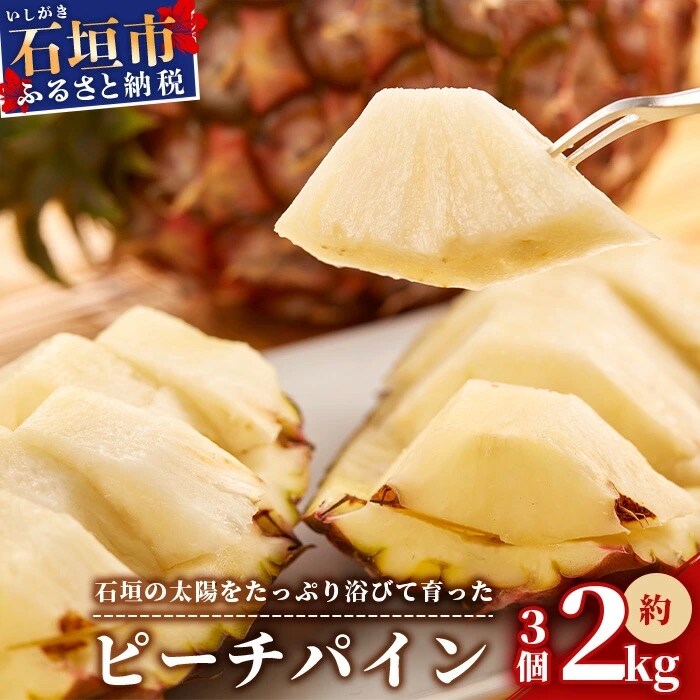 【先行受付】石垣パイン 3個セット ピーチ種 【2025年5月初旬～6月初旬発送予定】