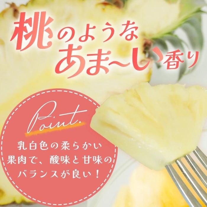 【先行受付】《2026年5月下旬頃より順次発送》石垣島産 ピーチパイン 3玉 約2.7kg