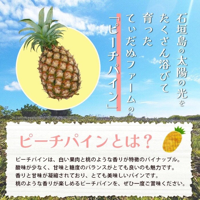 【先行受付】《2025年5月中旬頃より順次発送》石垣島産 ピーチパイン 3～4玉セット 約3kg