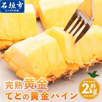 【先行予約】完熟黄金 てとの黄金パイン 大玉 約2kg