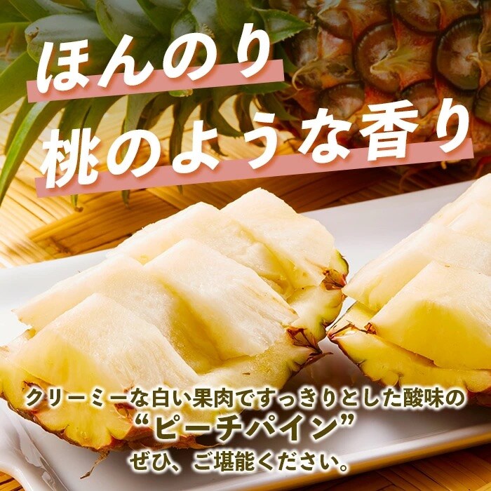 【先行受付】《2026年5月上旬頃より順次発送》石垣島産 ピーチパイン (4玉 約3kg) 