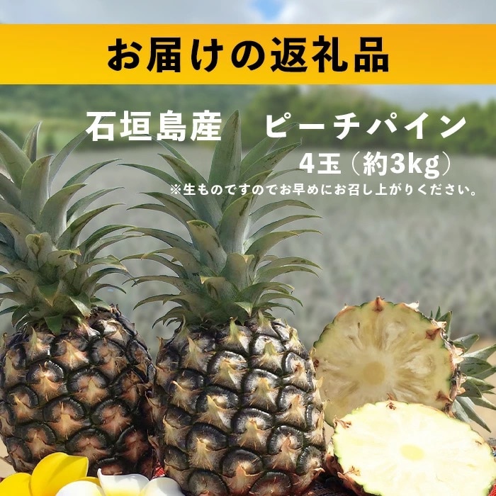 【先行受付】《2025年5月上旬頃より順次発送》石垣島産 ピーチパイン (4玉 約3kg) 