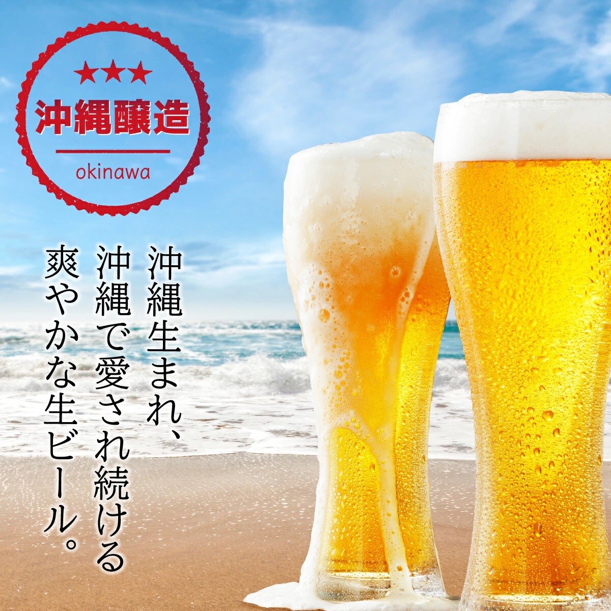 オリオンビール  ザ・ドラフト 350ml缶24本 J-018