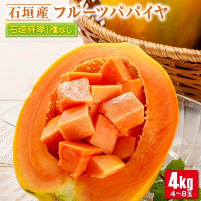 フルーツパパイヤ4kg 【沖縄県 石垣島産】