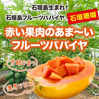 フルーツパパイヤ4kg 【沖縄県 石垣島産】
