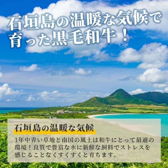 石垣島産 黒毛和牛 生ハンバーグ 150g×8個