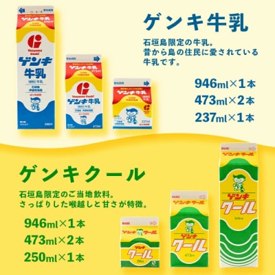 【ふるさと納税限定】八重山ゲンキ乳業 オールスターセット