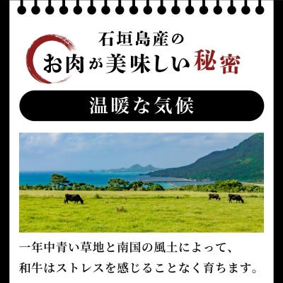 極厚!!肉汁溢れる 石垣島産《黒毛和牛100%》俵ハンバーグ 180g×4個