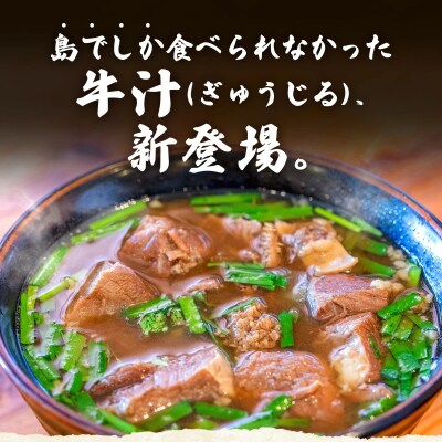 【先行受付:2024年12月以降配送】石垣島名物　あらかわ食堂　牛汁 2パック(450g×2) 