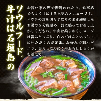 【先行受付:2024年12月以降配送】石垣島名物　あらかわ食堂　牛汁 2パック(450g×2) 