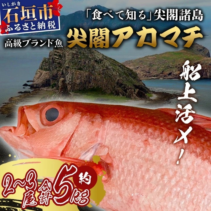 先行受付】高級ブランド魚 尖閣赤マチ 2～3尾 合計約5kg 下処理済