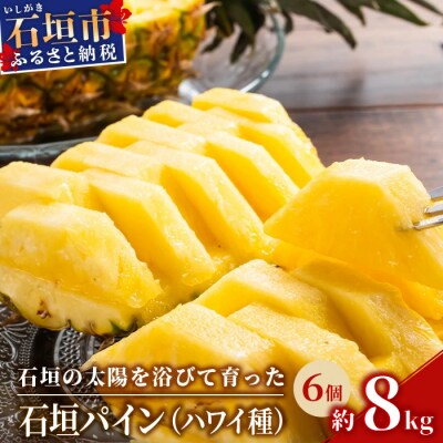 【先行受付】石垣パイン 6個セット ハワイ種【2026年7月上旬以降発送】