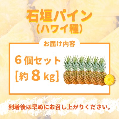 【先行受付】石垣パイン 6個セット ハワイ種【2026年7月上旬以降発送】