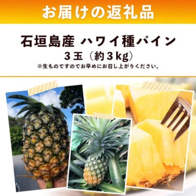 【先行受付】《2026年6月上旬頃より順次発送》石垣島産 ハワイ種 パイン (3玉 約3kg) 