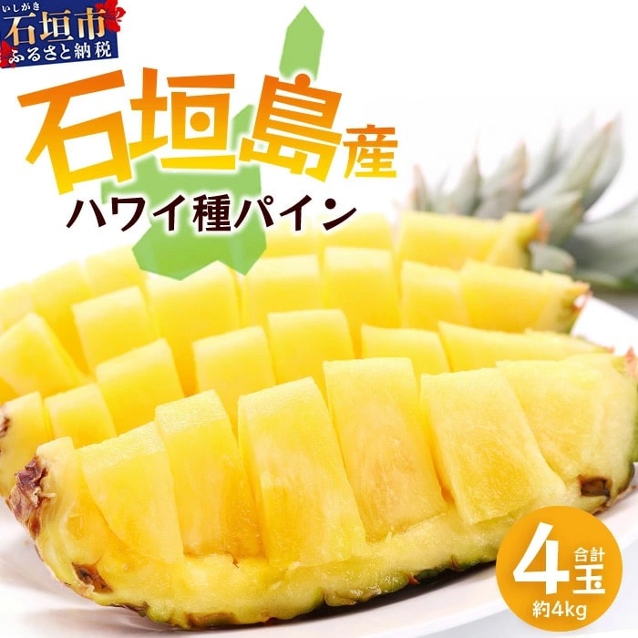 【先行受付】《2026年6月上旬頃より順次発送》石垣島産 ハワイ種 パイン (4玉 約4kg) 
