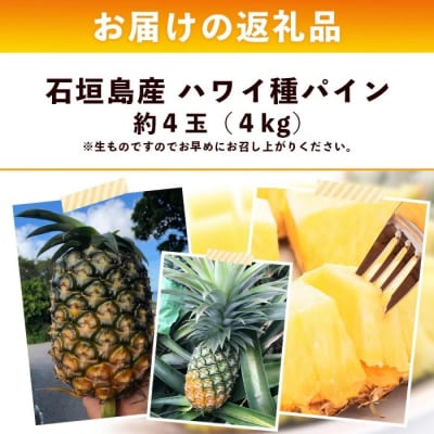【先行受付】《2025年6月上旬頃より順次発送》石垣島産 ハワイ種 パイン (4玉 約4kg) 