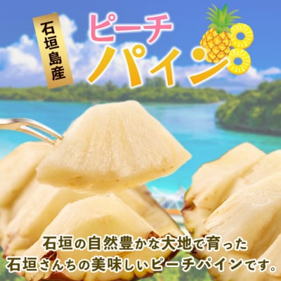 先行受付《2026年5月上旬頃より順次発送》石垣島産 ピーチパイン (6玉 約5kg)
