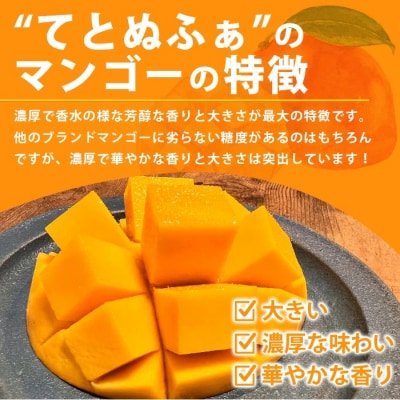 《2025年6月中旬以降発送》島の美味しいを詰め込んだ、パイン&マンゴーのよくばりセット!