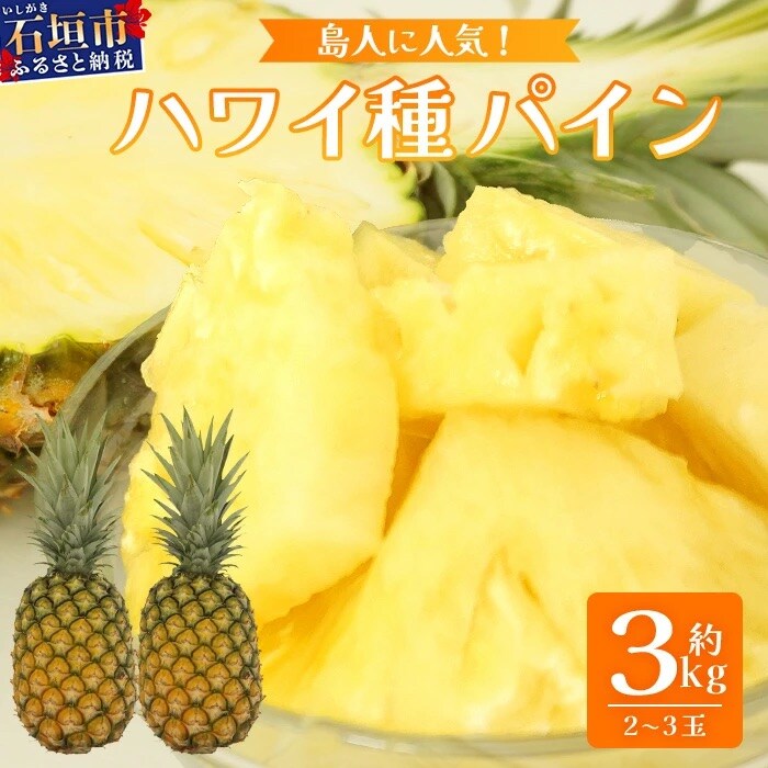【先行受付】《2026年7月上旬頃より順次発送》石垣島産 ハワイ種パイン 2～3玉セット 約3kg