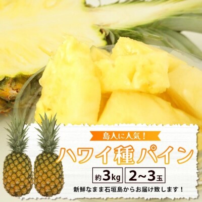 【先行受付】《2026年7月上旬頃より順次発送》石垣島産 ハワイ種パイン 2～3玉セット 約3kg
