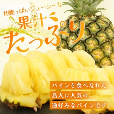 【先行受付】《2026年7月上旬頃より順次発送》石垣島産 ハワイ種パイン 3～4玉セット約4.2kg