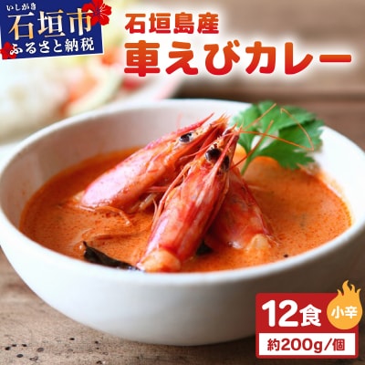 石垣島産車えびカレー(小辛)【冷凍 12食】石垣島のカレー専門店が作るご当地カレー