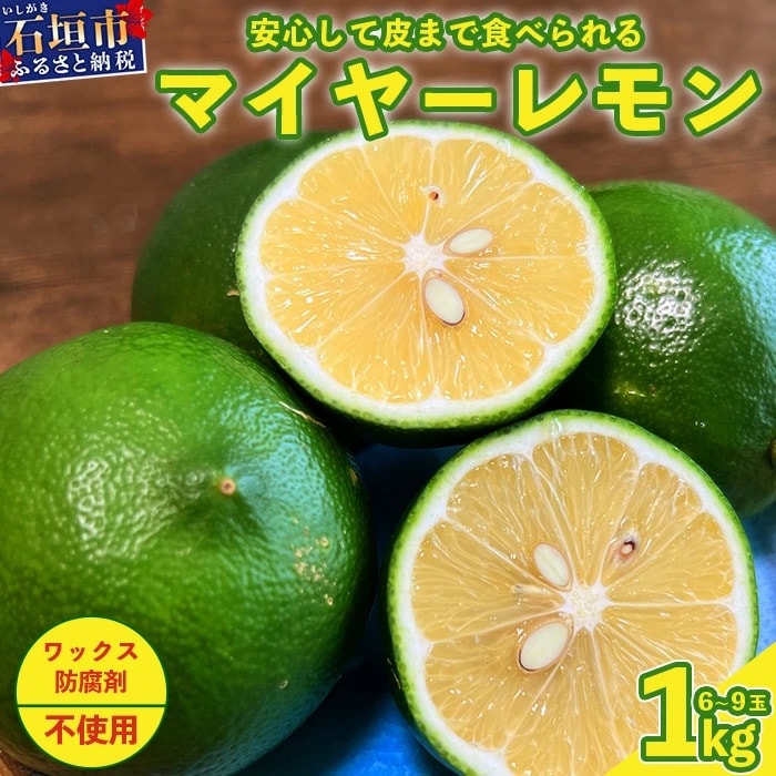 《2025年7月下旬以降順次発送》こだわりの青切りマイヤーレモン 約1kg (6～9個)