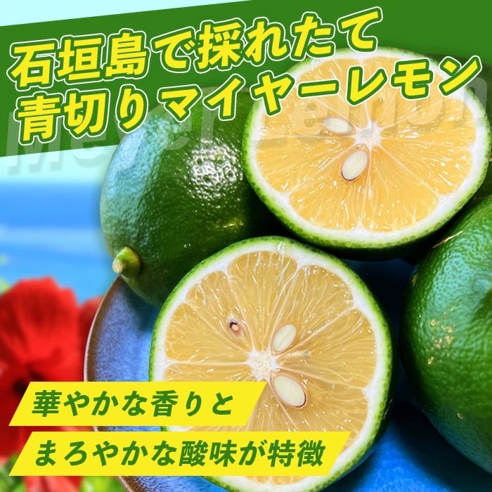 《2025年7月下旬以降順次発送》こだわりの青切りマイヤーレモン 約1kg (6～9個)