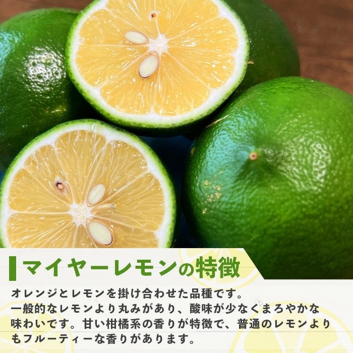 【先行予約】≪2026年8月以降順次発送≫こだわりの青切りマイヤーレモン 約1kg (6～9個)