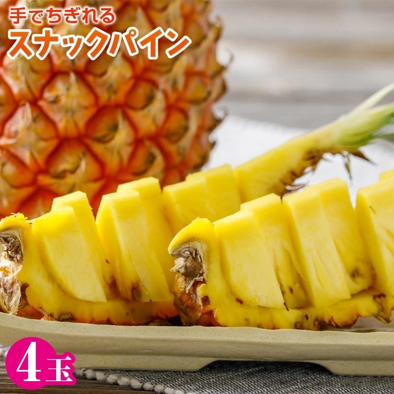 スナックパイン 4 玉 石垣産 ボゴール種