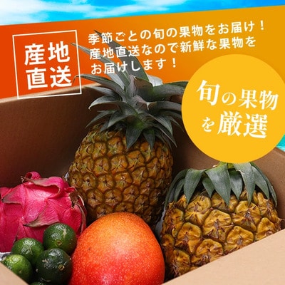 《2026年夏に順次発送予定》石垣島の夏「果物」詰め合わせ～夏のタカラモノ果物便～