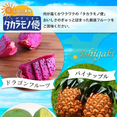 《2026年夏に順次発送予定》石垣島の夏「果物」詰め合わせ～夏のタカラモノ果物便～