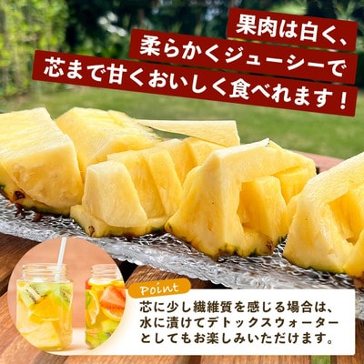 《2027年4月上旬以降順次発送》桃香纏う幻果 ピーチパイン 3玉 (約2.7kg)