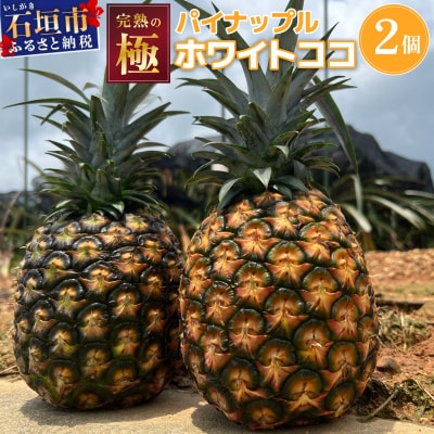 《2027年5月以降順次発送》完熟の極 石垣島産パイナップル ホワイトココ2個セット
