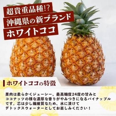 《2027年5月以降順次発送》完熟の極 石垣島産パイナップル ホワイトココ2個セット