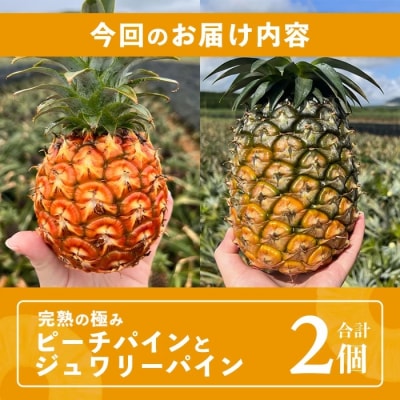 《2026年5月～7月順次発送》 完熟の極 石垣島産ピーチパインとジュワリーパインの食べ比べセット
