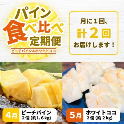 《2026年4月～7月順次》【先行受付】パイナップル好きにおすすめ!満足のパイナップル2品種定期便