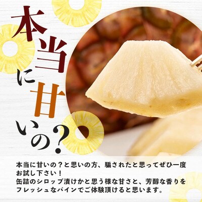 パイナップル好きにおすすめ!満足のパイナップル3品種定期便《2027年4月～7月順次発送》