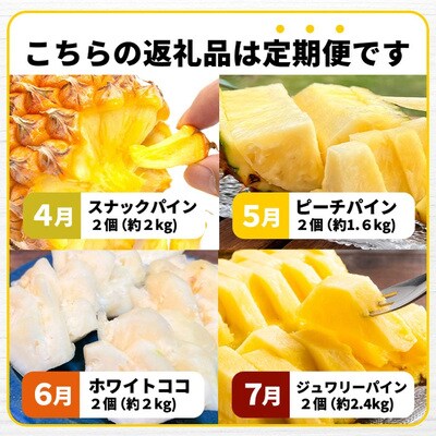 《2026年4月～7月順次発送【先行受付】パイナップル好きにおすすめ!満足のパイナップル4品種定期便