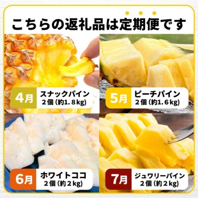 パイナップル好きにおすすめ!満足のパイナップル4品種定期便《2027年4月～7月順次発送》