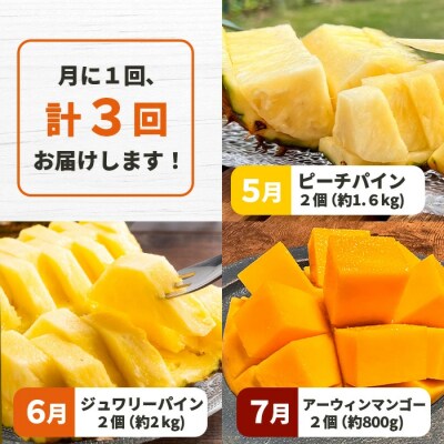 《2026年5月～7月順次発》島のおいしいを贅沢に!パイナップル2種とマンゴー1種のよくばり定期便
