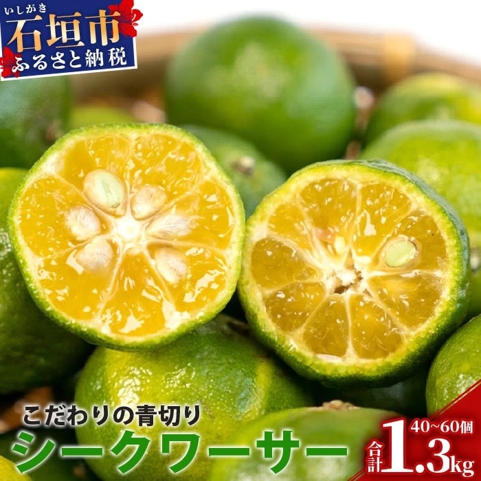 【先行予約】≪2026年8月以降順次発送≫こだわりの青切りシークワーサー 1.3kg 約40～60個