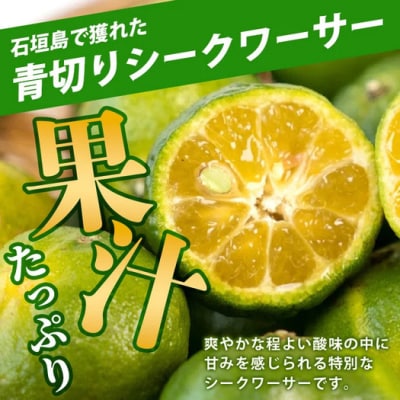 こだわりの青切りシークワーサー 1.3kg 約40～60個