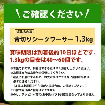 《2025年7月以降順次発送》【先行受付】こだわりの青切りシークワーサー 1.3kg 約40～60個