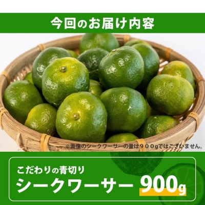 【先行予約】≪2026年8月以降順次発送≫ こだわりの青切りシークワーサー 900g 約30～40個